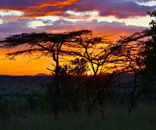 Home page tanzania emotion safaris