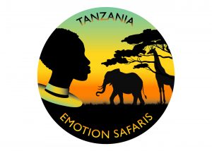 logo tanzania emotion safaris