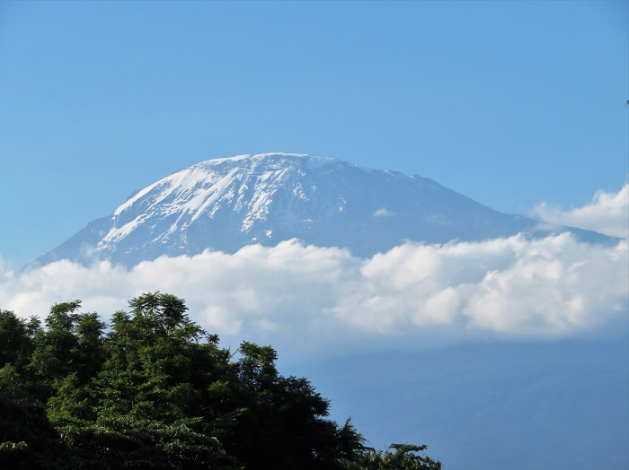 Kilimangiaro National Park