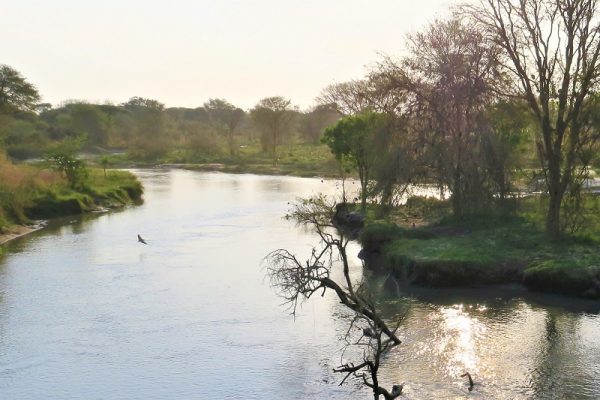 Le Parc National de Katavi